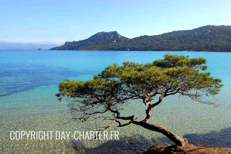 Porquerolles